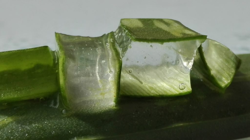 Aloe Vera is a Superfood